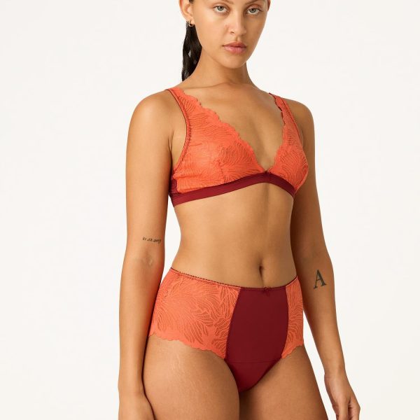 Manon Hi Waist Brief Moderate Bordeaux Red
